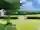 IMG 1299 Copy