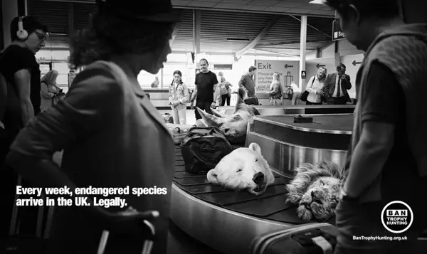 FINAL AD PHOTO 2021 12 09 13 13 39