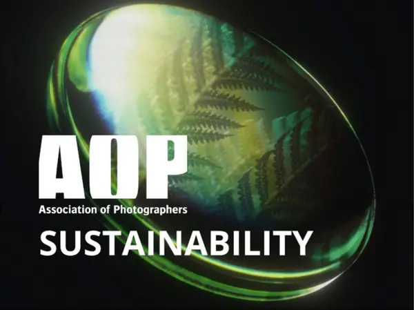 Screenshot 2024 11 05 At 16.16.19