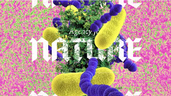 Screenshot 2024 11 11 At 13.09.54