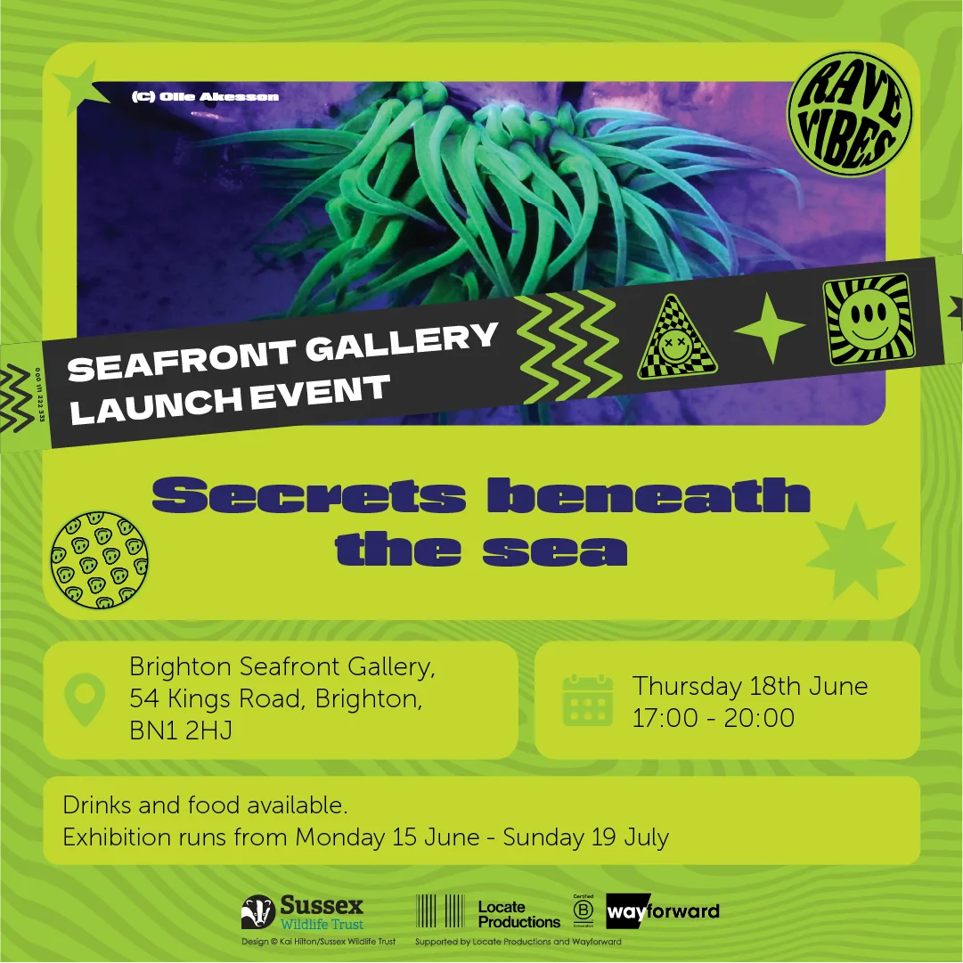Socials_Seafront_Pillar_Rave_1080x1080 (1).png