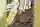2024 11 28 Wilderlands 0198 Low Res