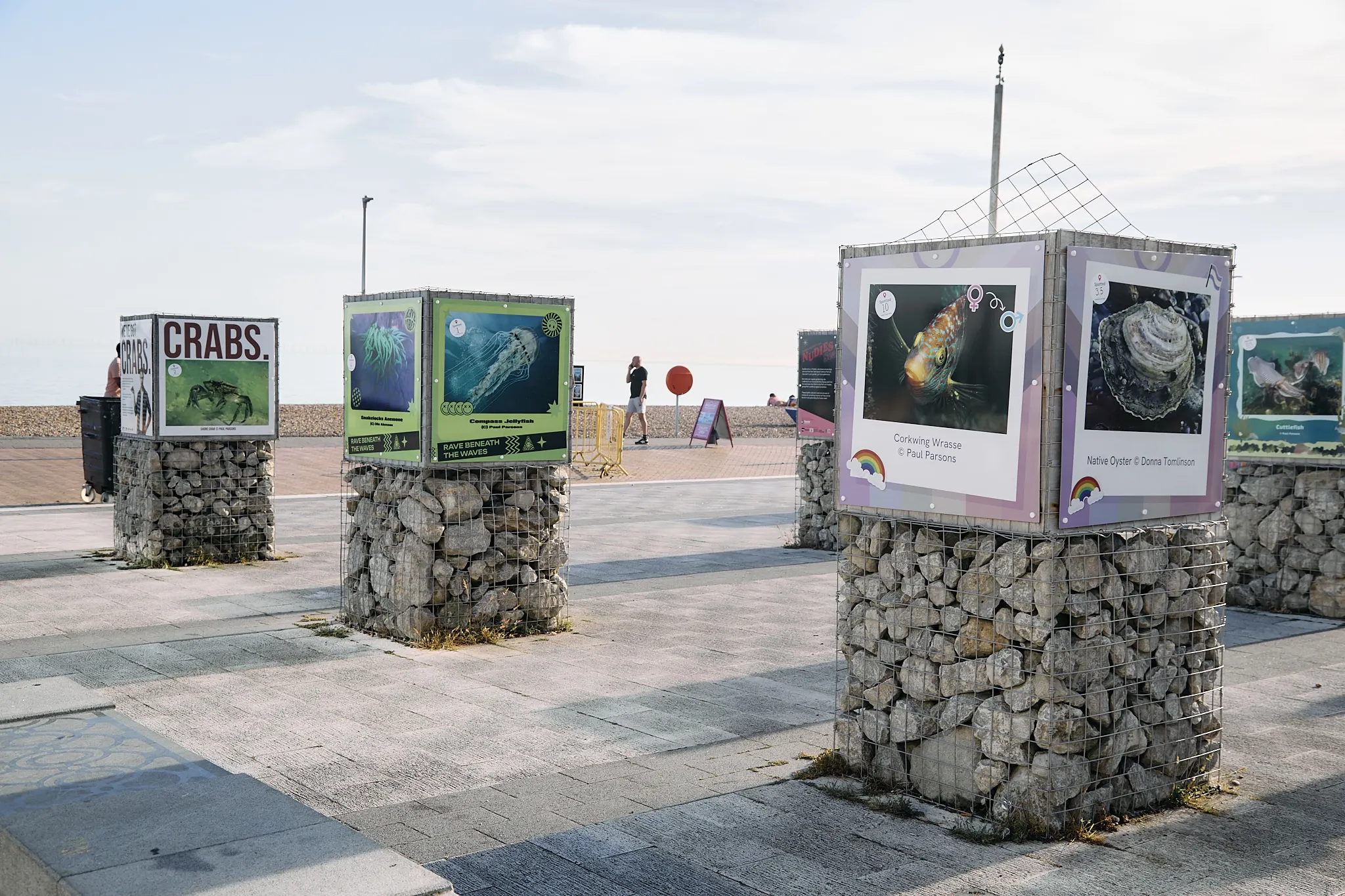 Sussex_WIldlife_Trust_Exhibition 92.jpg