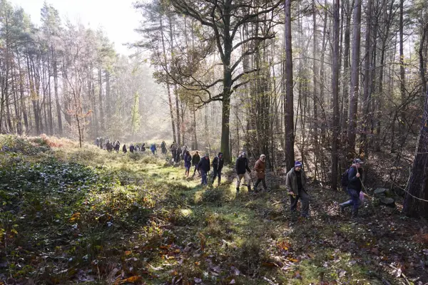 2024 11 28 Wilderlands 0001 Low Res