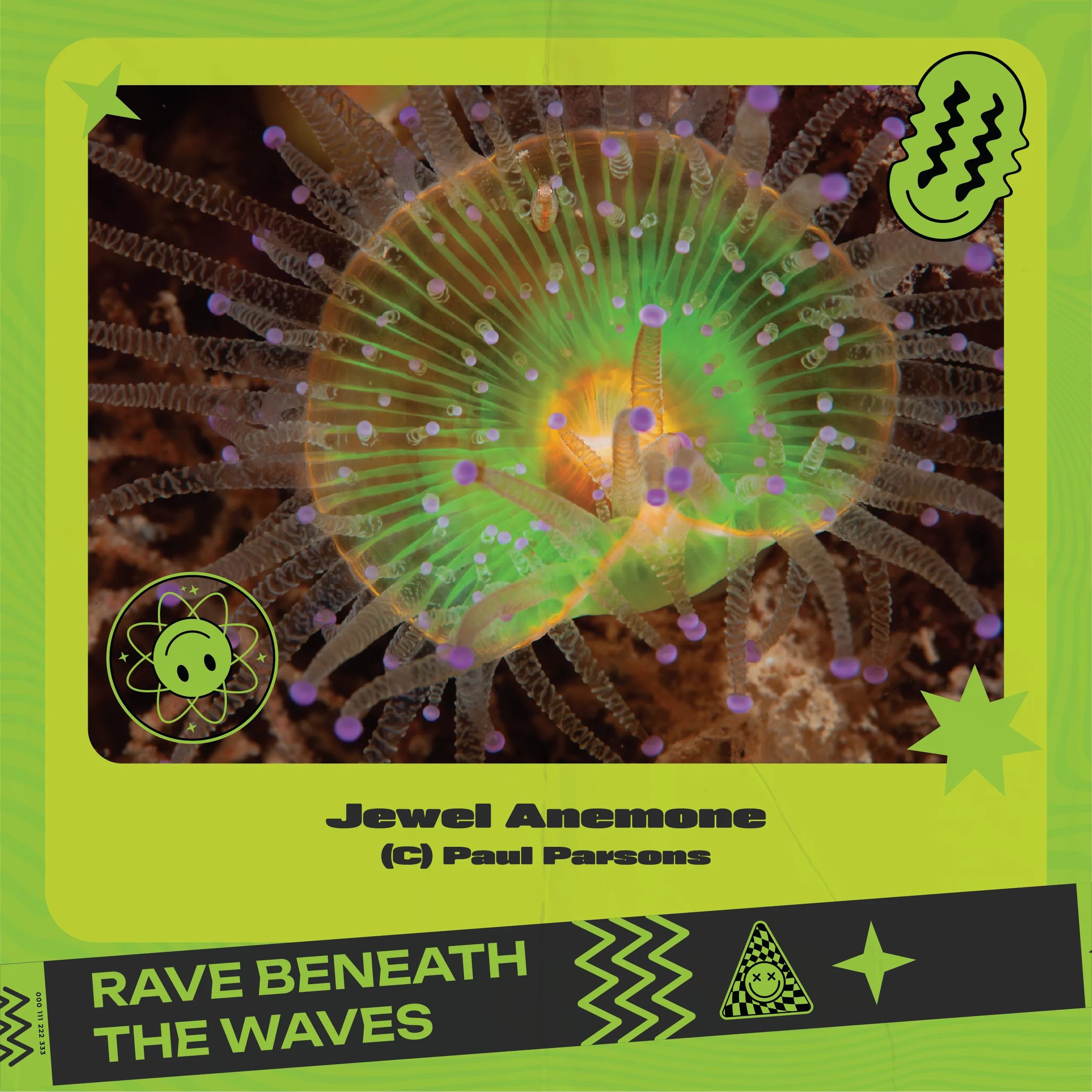 SWT_JellyFishRave4.png