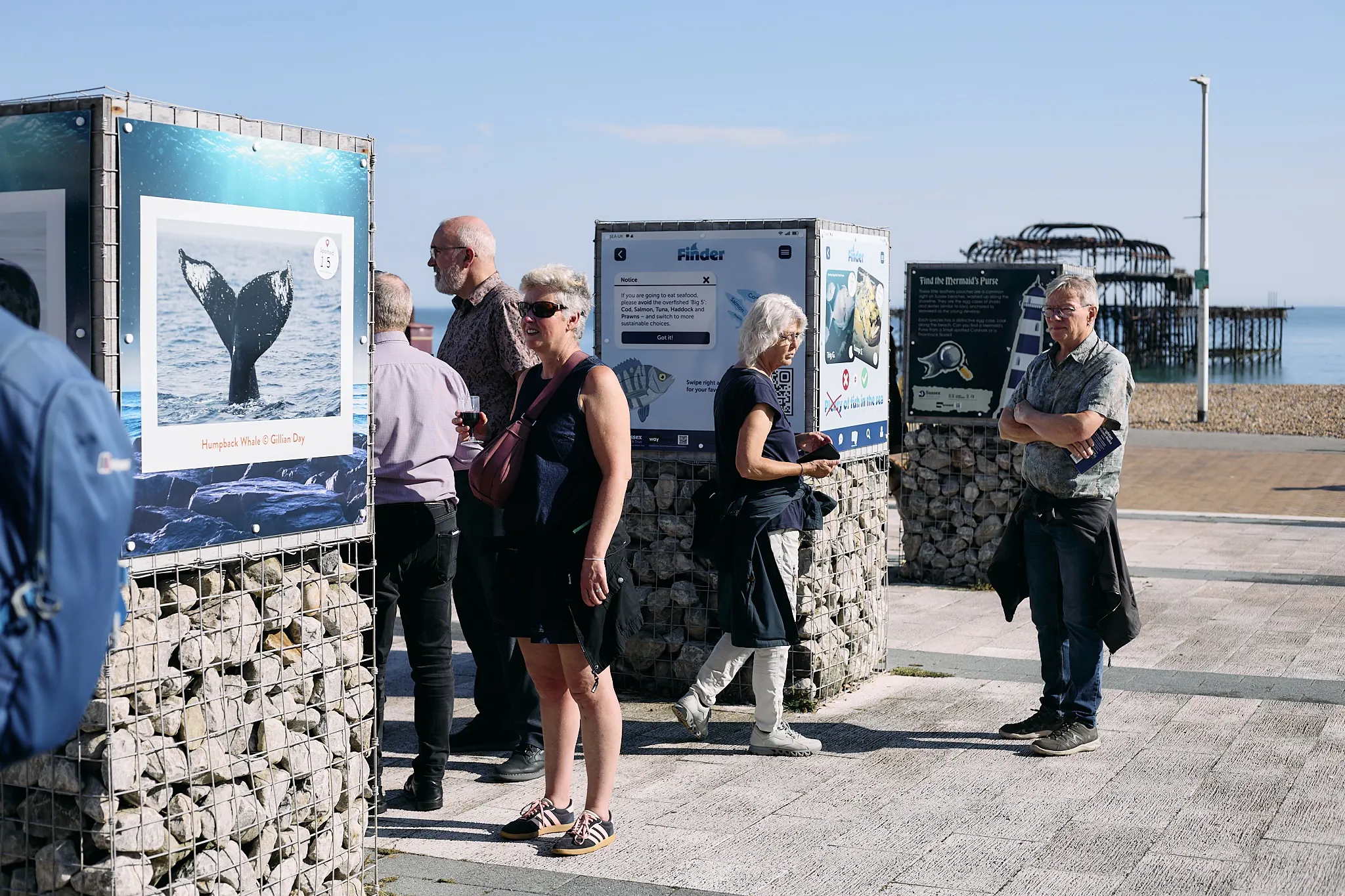 Sussex_WIldlife_Trust_Exhibition 1.jpg