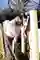 2024 11 28 Wilderlands 0203 Low Res