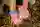 Q568 Locate Mamashrooms 179 2000Px Srgb