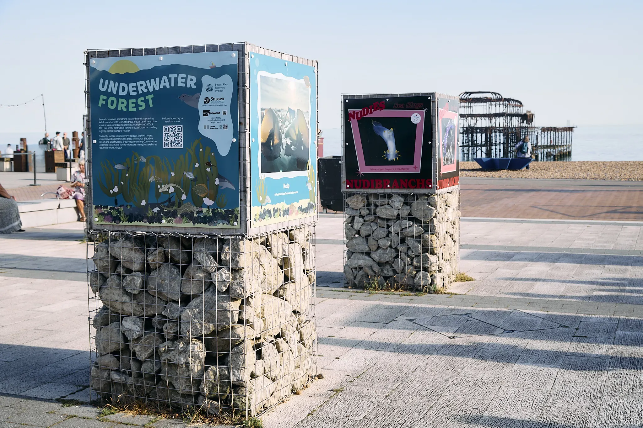 Sussex_WIldlife_Trust_Exhibition 91.jpg